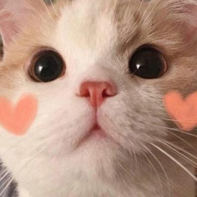 سلمان فاروق avatar